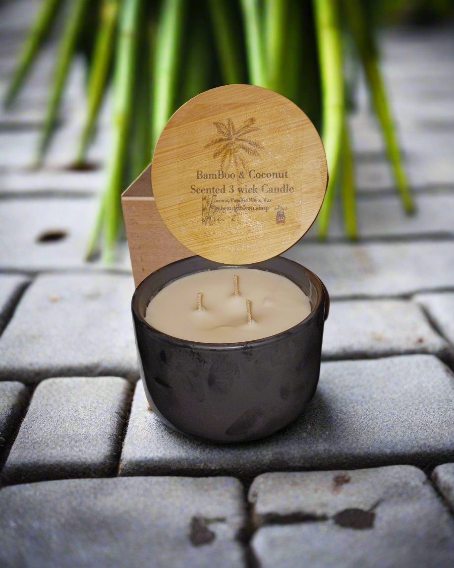 3 Wick Scented Ceramic Candle